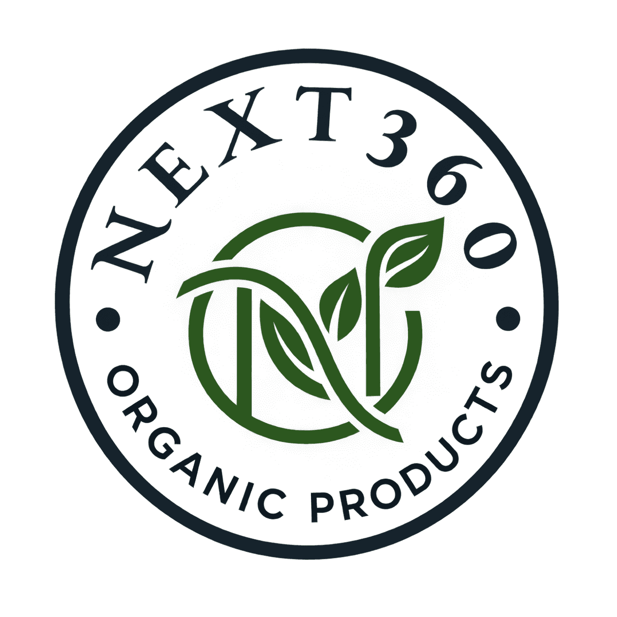 Next360 logo