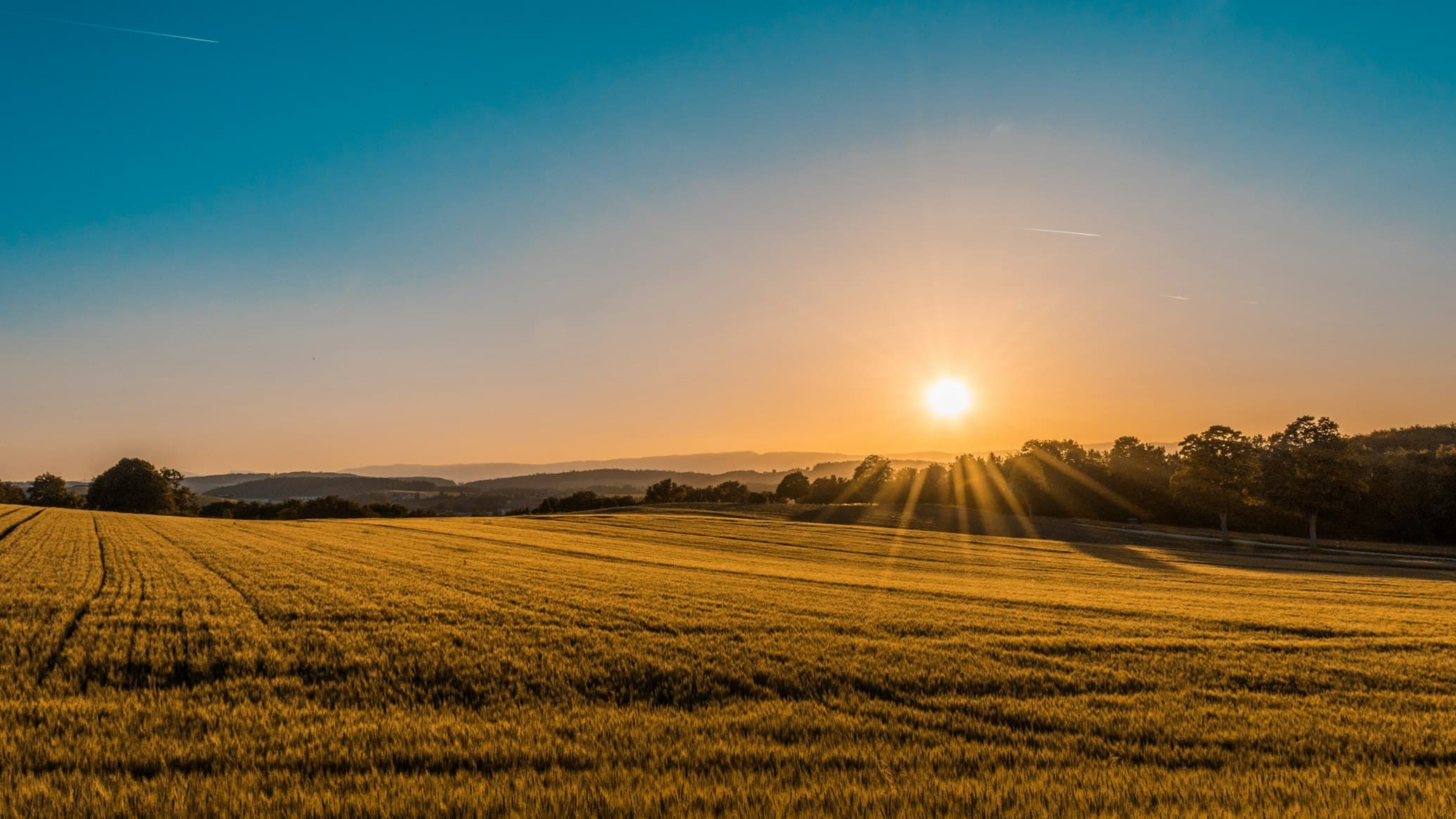 Agricultural land